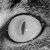 :iconart-senic: