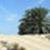 :iconart-shutter: