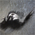 :iconartariffic: