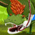 :iconartbarker: