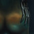 :iconartbymorozov: