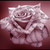 :iconartbynozomi: