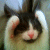 :iconartdmg92: