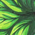 :iconartdolor: