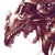:iconartdragoon:
