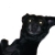 :iconarteaterproductions: