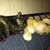 :iconartemis515: