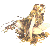 :iconartemisballet: