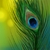 :iconartemisnova: