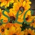 :iconartemissilverleaf:
