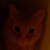 :iconartenuga54: