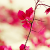 :iconartepiphany:
