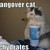 :iconartfulbutter: