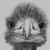 :iconartgrugster: