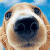 :iconarthius: