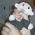 :iconarthur-prefect: