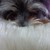 :iconarthurmo-is-monster:
