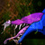 :iconarticdragoness: