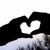 :iconarticfox989: