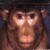 :iconartichokeyou: