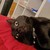 :iconarticshadow: