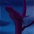 :iconarticwarwolf: