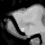 :iconartifexx: