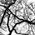 :iconartifical-radio: