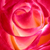 :iconartificial-sugar: