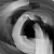 :iconartificialcrow: