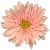 :iconartificialhuman:
