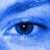 :iconartis-shots: