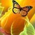 :iconartisian-designs: