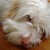 :iconartist1122: