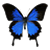 :iconartistalleyway:
