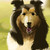 :iconartistgirl-123: