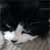 :iconartistic-aimee: