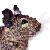 :iconartisticdegus: