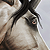 :iconartisticequine: