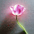 :iconartisticinfusion: