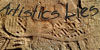 group avatar
