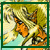:iconartisticsynergy: