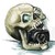 :iconartisticvampire: