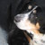 :iconartisticwiz521:
