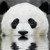 :iconartistimaniac: