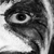 :iconartistiquette: