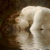 :iconartistofromance: