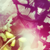 :iconartistotaku:
