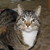 :iconArtistTool: