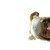 :iconartistwithoutaface: